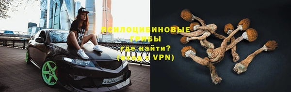 дмт Алексеевка