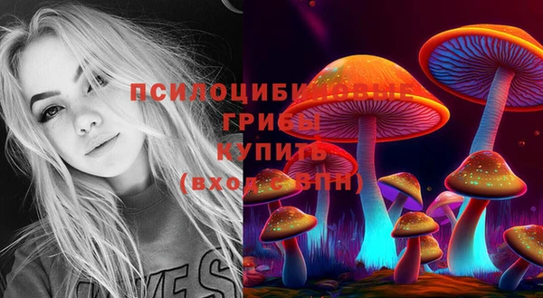 сатива Алзамай