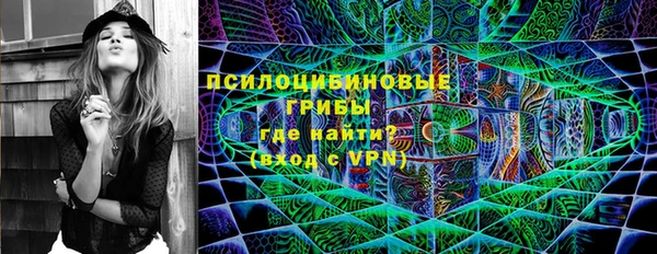 сатива Алзамай